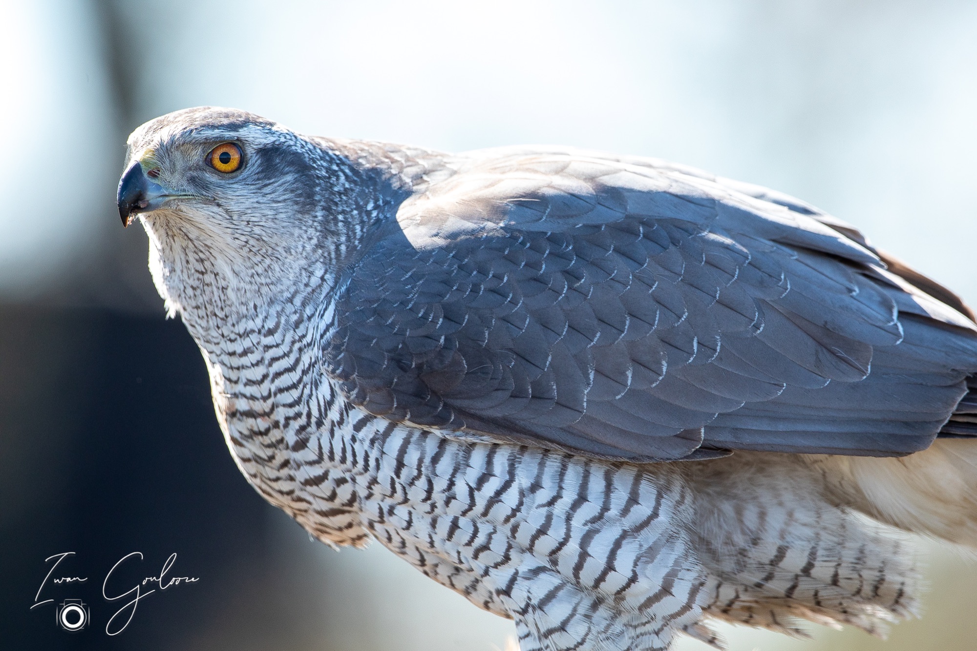 27 maart 2022 142919  5D44793